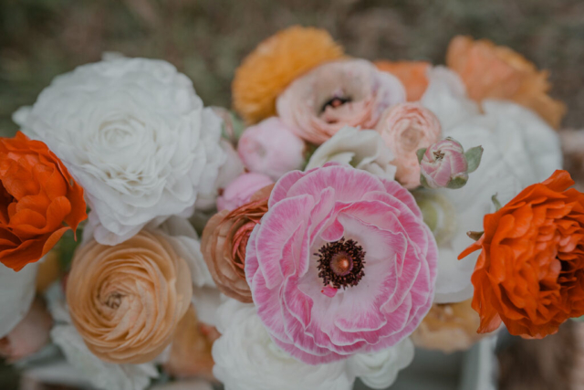 Catering by Trillium Mendocino at Mendo Grove, photography by Cassandra Young