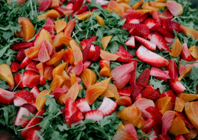 Catering with Trillium at Mendocino Grove Campground
