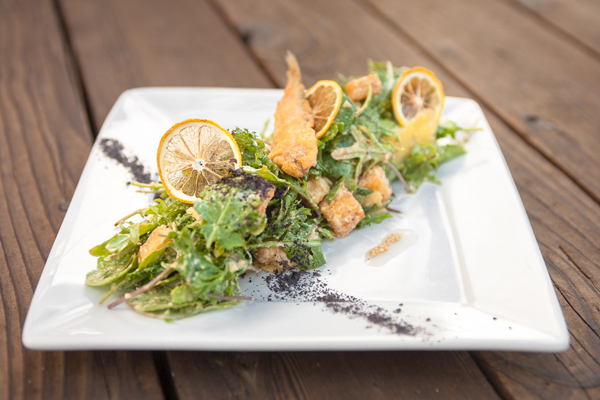 Kale Salad at Trillium Cafe, Mendocino, photography by Cassandra Young