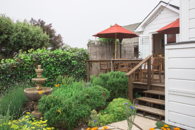 Garden at Trillium Cafe in Mendocino